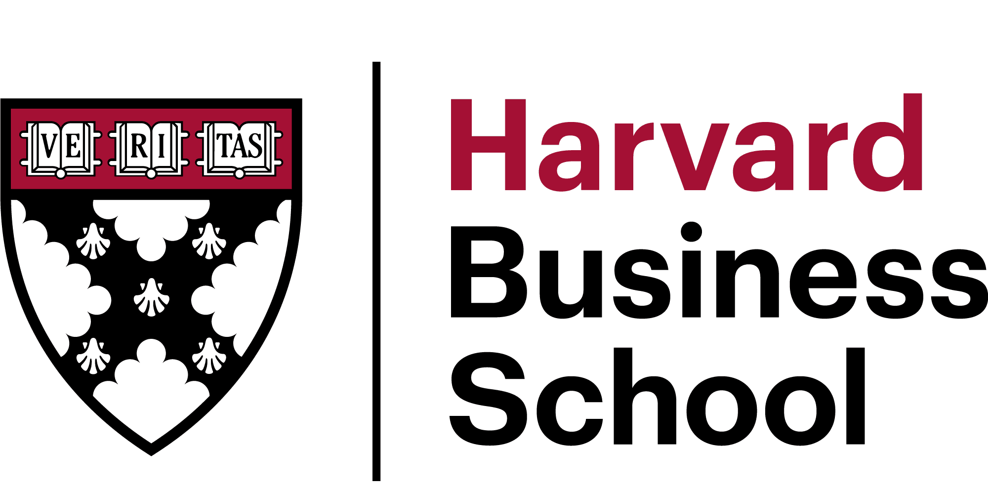 Partner Logo 1